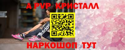 стаф Будённовск